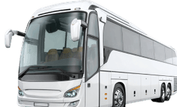 Автобусы
